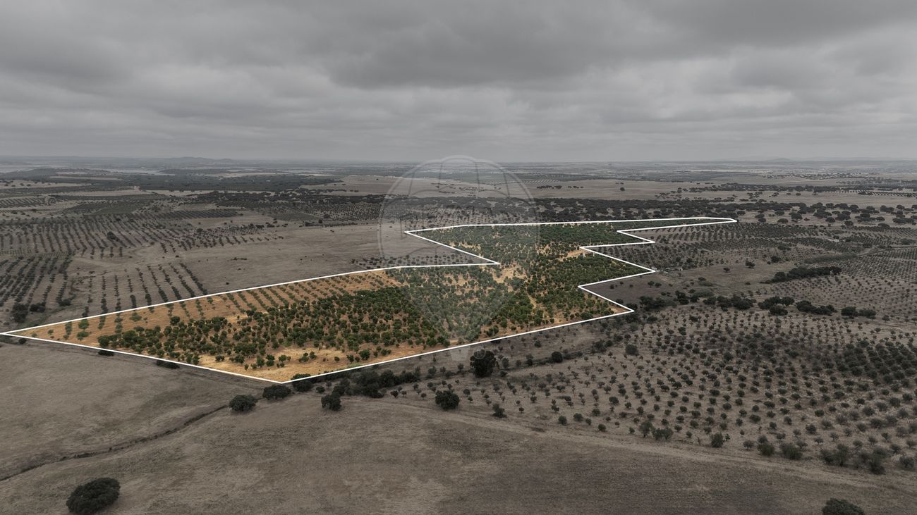 Terreno para venda
