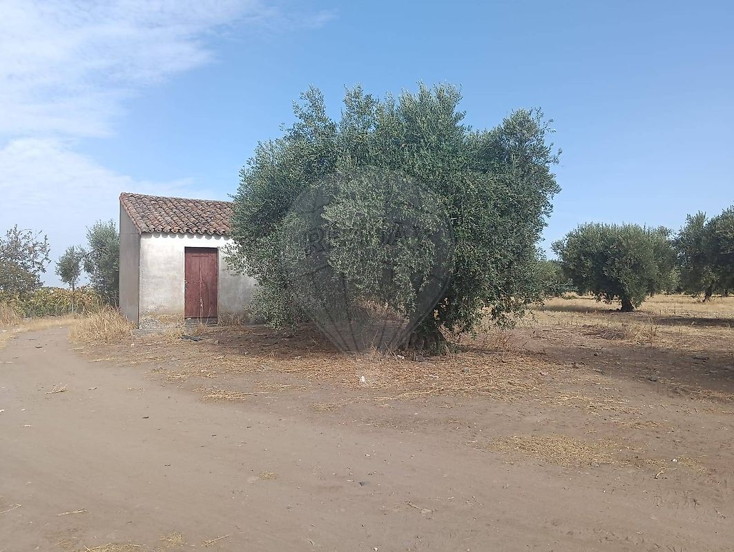 TODO