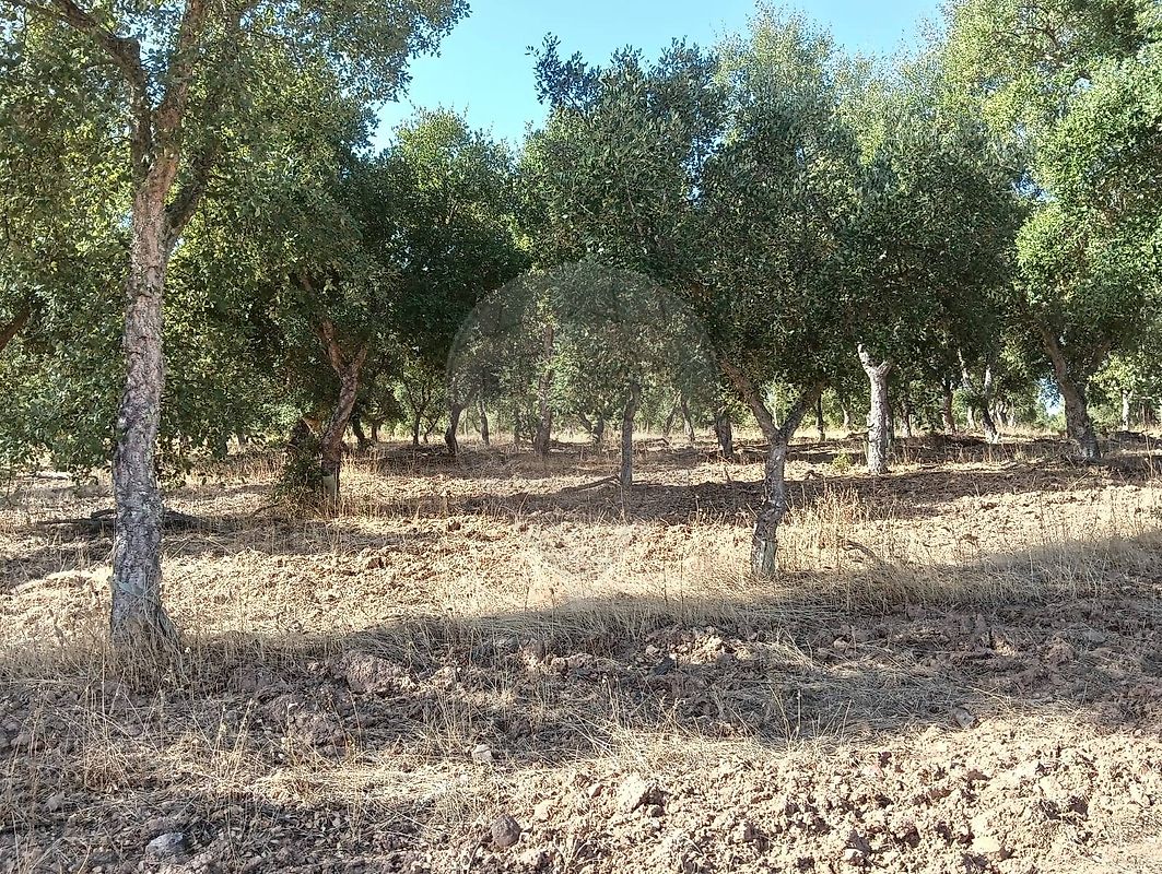 Terreno para venda