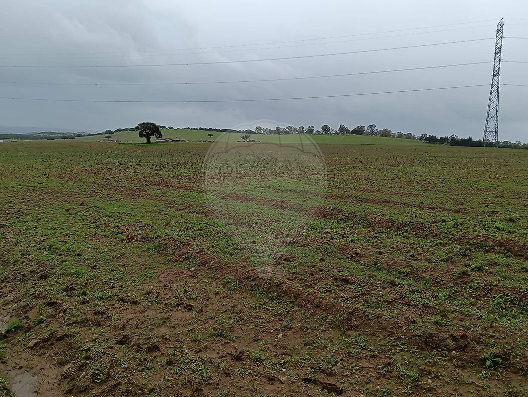 Terreno - Granja, Mourão, Évora