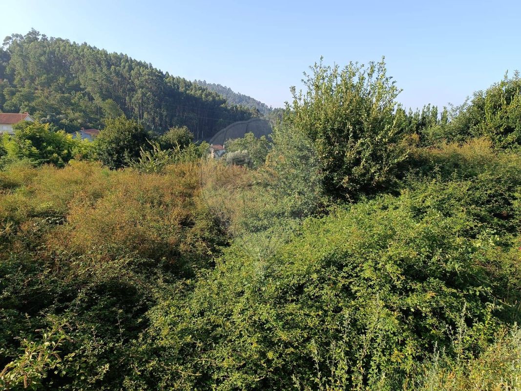 Terreno para venda