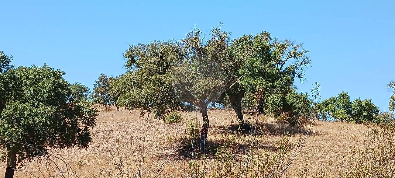 Terreno para venda