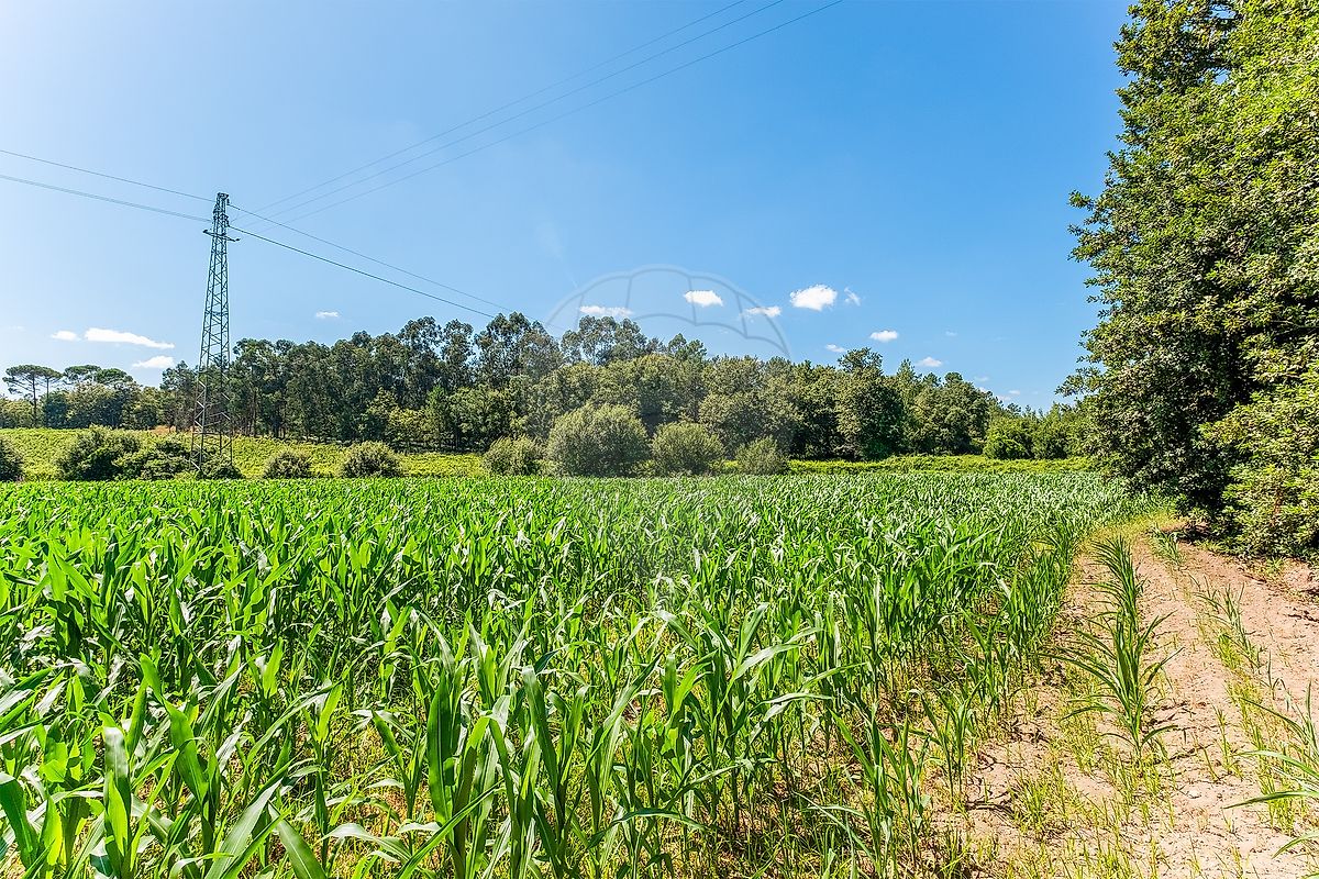 Terreno para venda