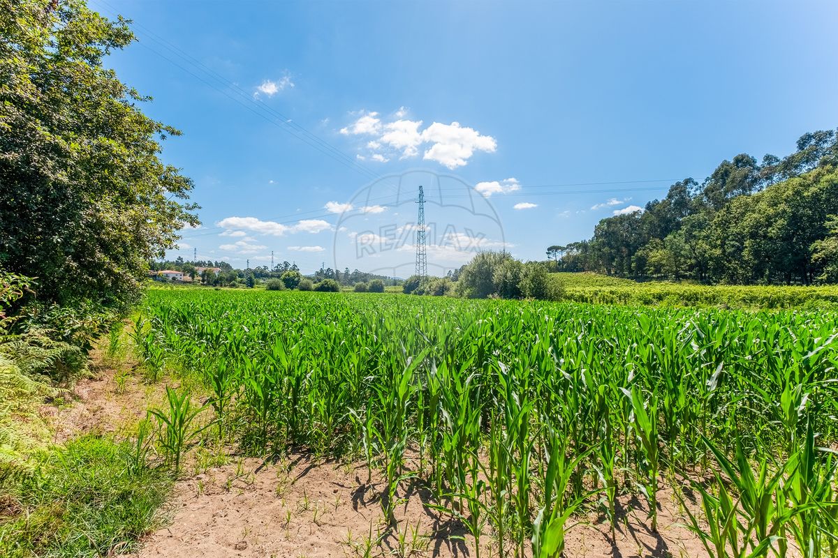 Terreno para venda