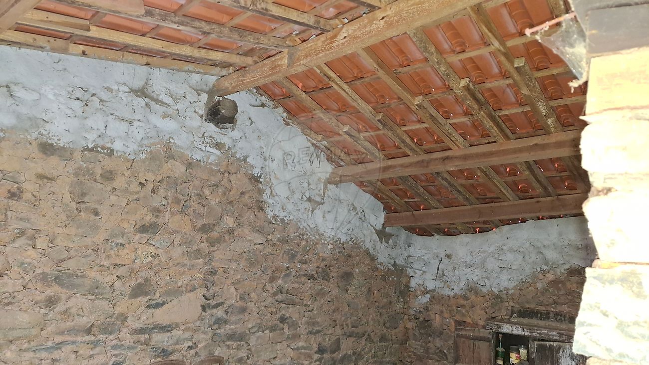 Moradia T2 à venda em Gondesende, Bragança — foto 16