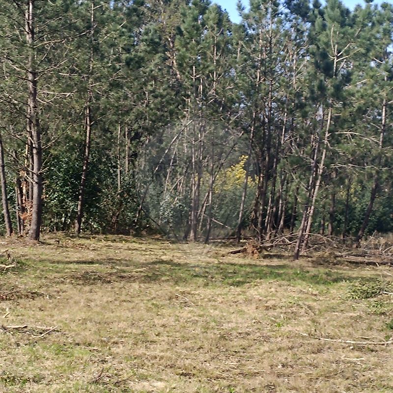 Terreno à venda em Santo Tirso