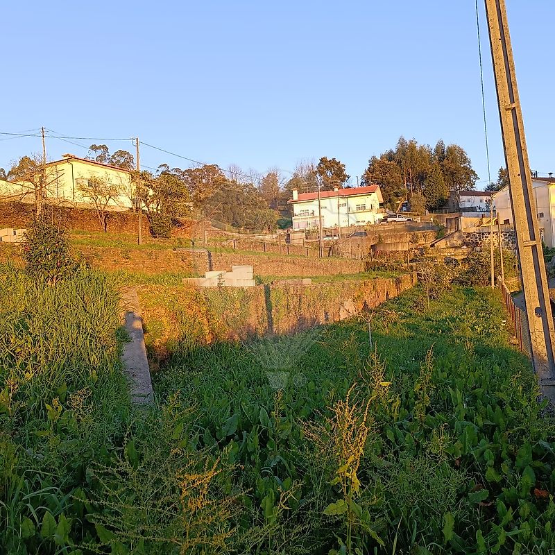 Terreno - Reguenga, Santo Tirso, Porto