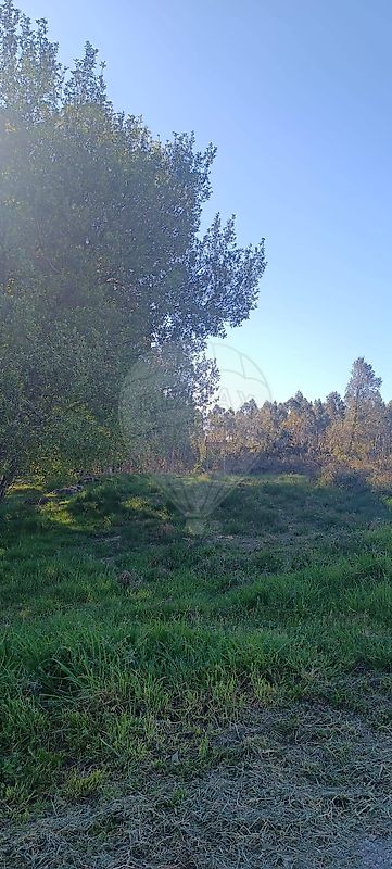 Terreno - Monte Córdova, Santo Tirso, Porto