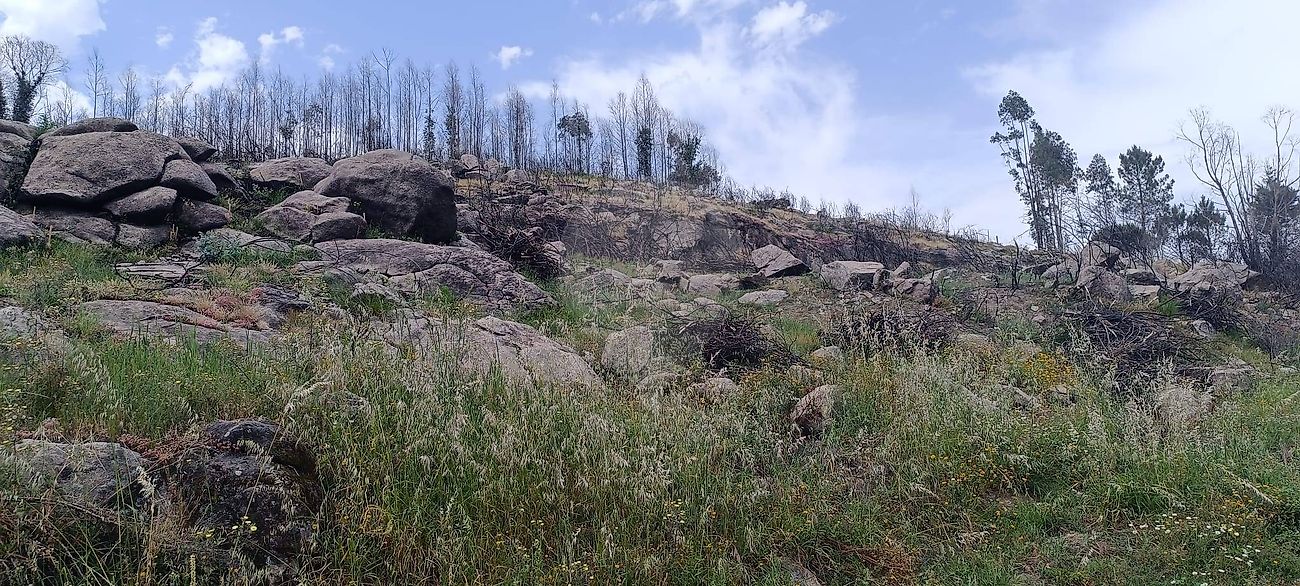 Terreno - Boelhe, Penafiel, Porto