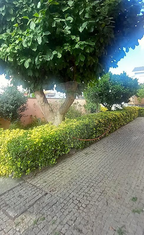 Moradia T4 à venda em Custóias, Leça do Balio e Guifões, Matosinhos — foto 18