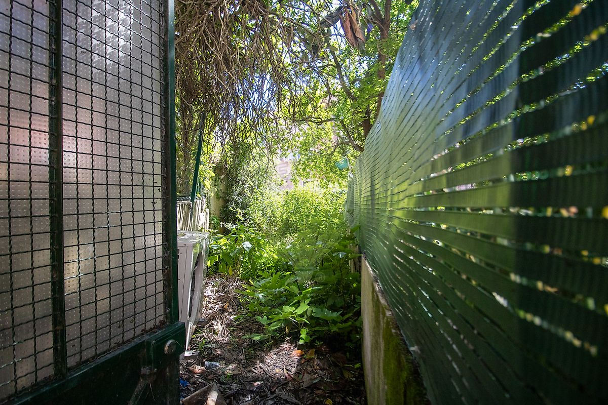 listing 125611060-44 picture-0