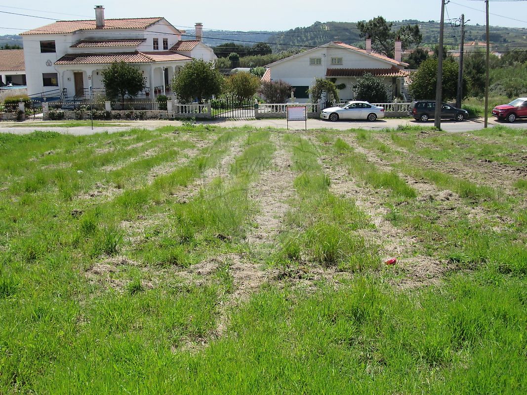 Land for sale in Óbidos, Portugal — €87,500