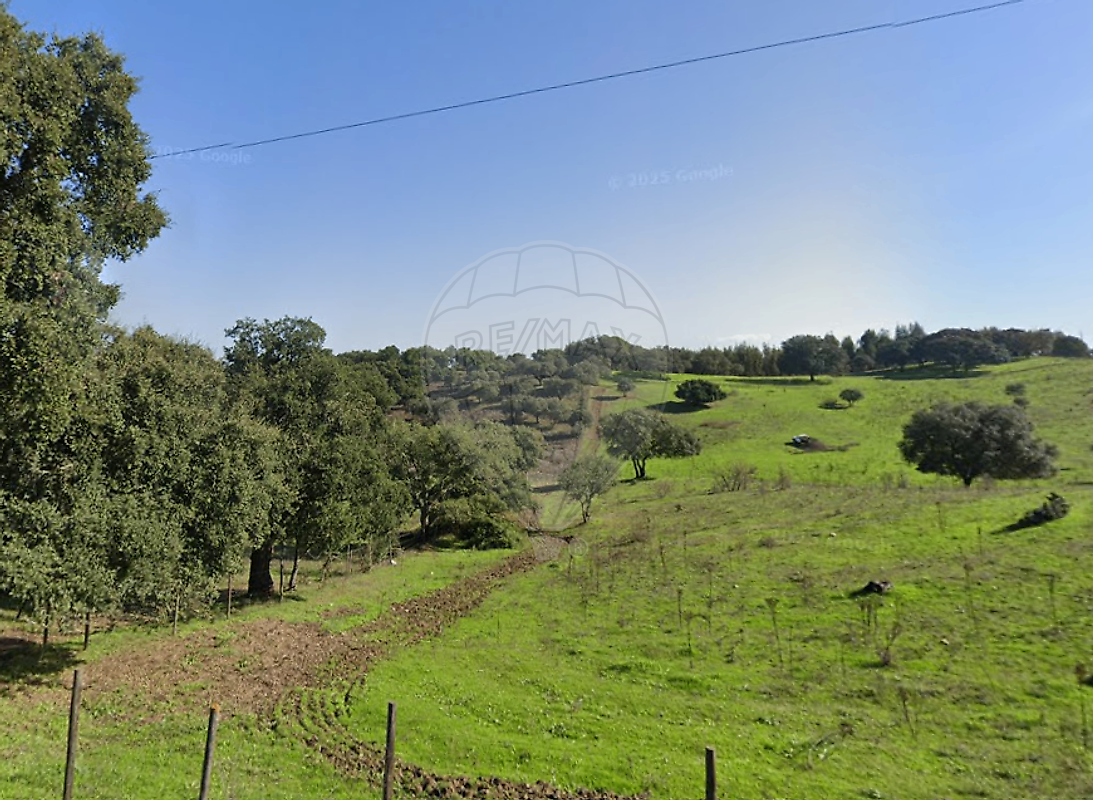 Terreno - Aldeia Velha, Avis, Portalegre
