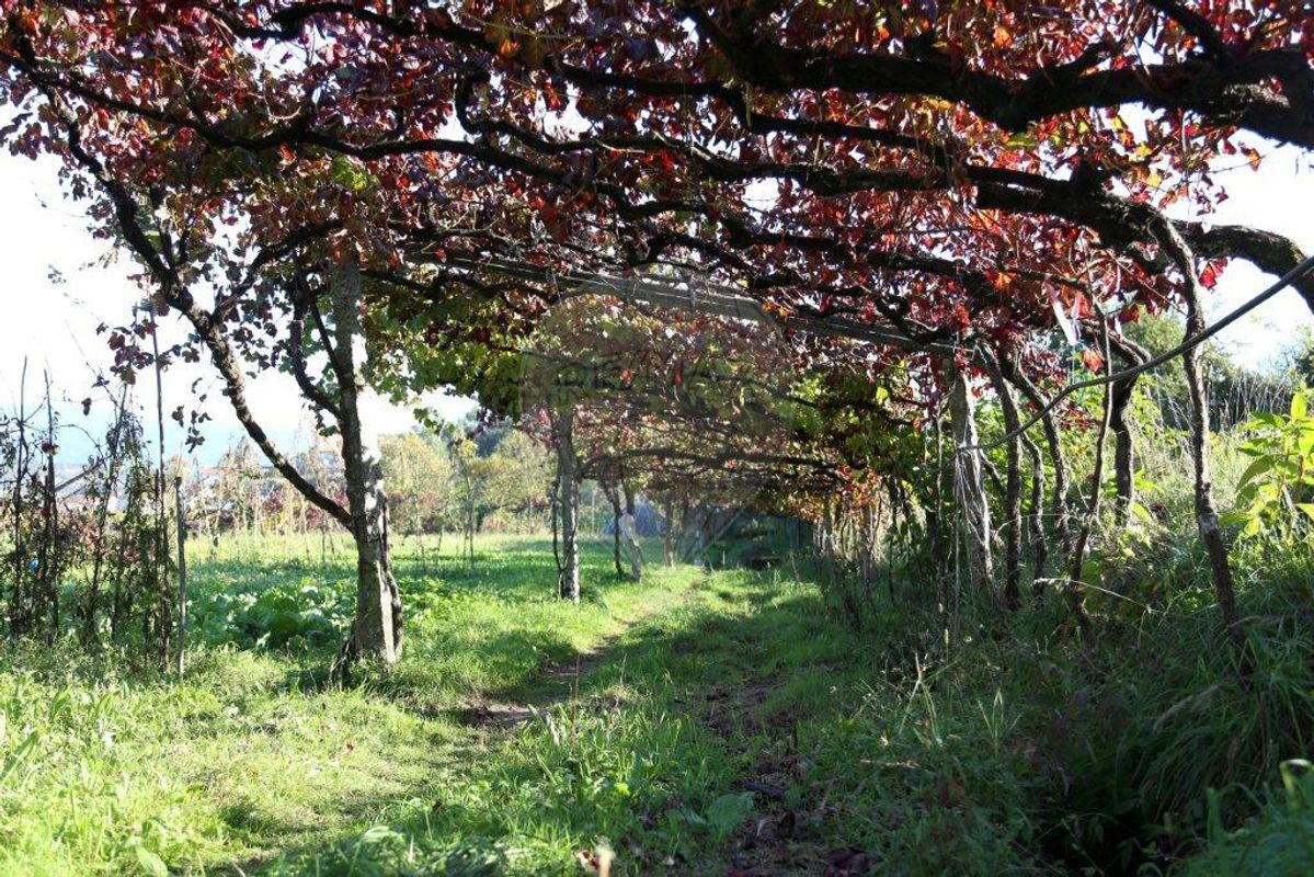 Terreno  para venda