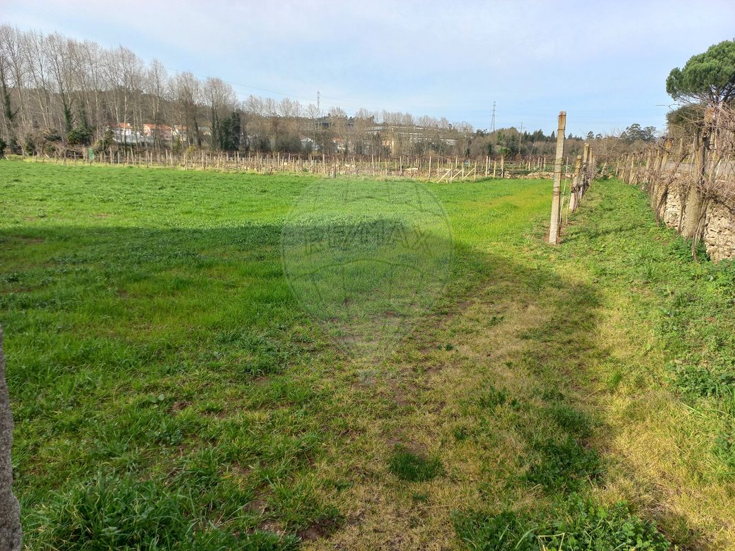 Terreno  para venda