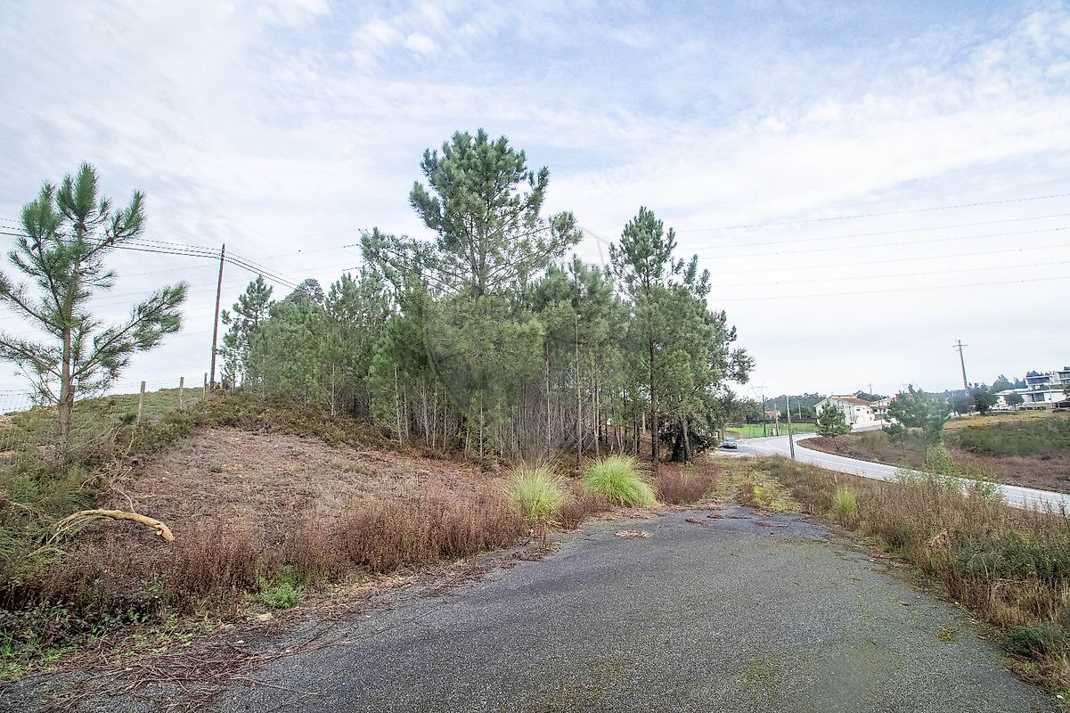 Land for sale in Paredes, Portugal — €88,000