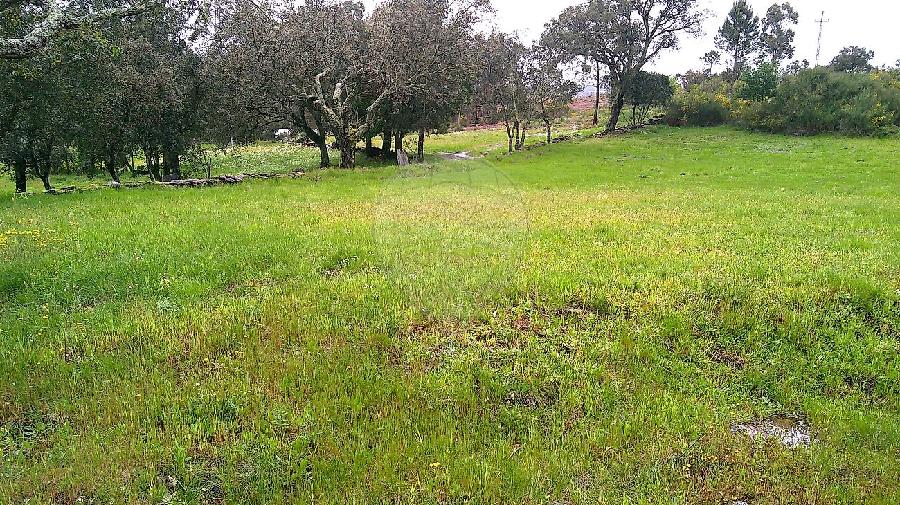 Terreno para venda