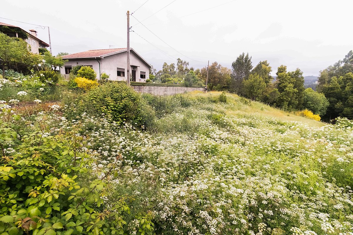 Terreno para venda