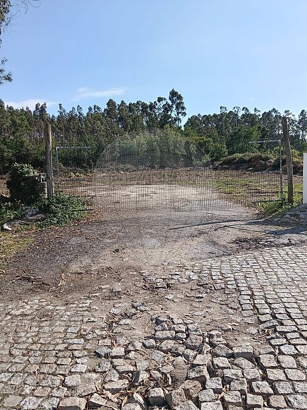 Imagem detalhe 1