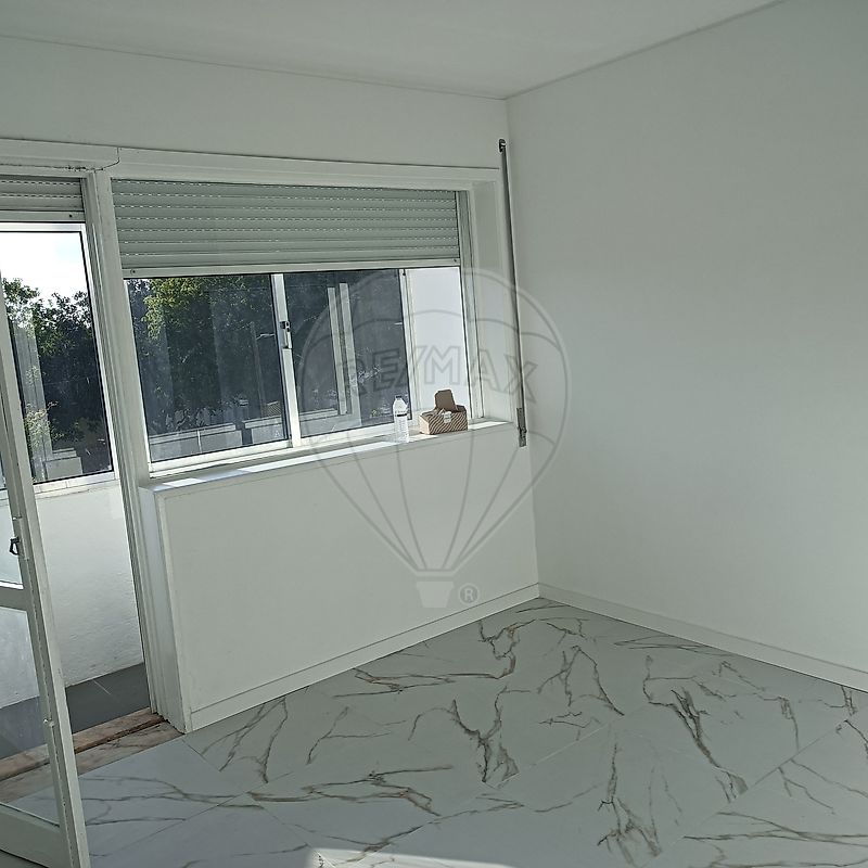 Imagem detalhe 5