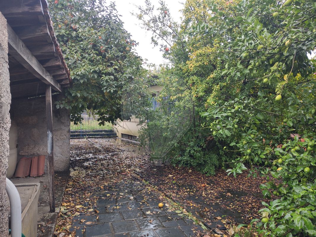 listing 125631102-115 picture-0