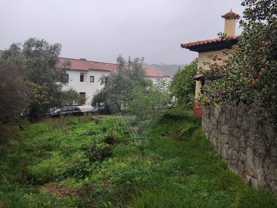 listing 125631102-115 picture-0