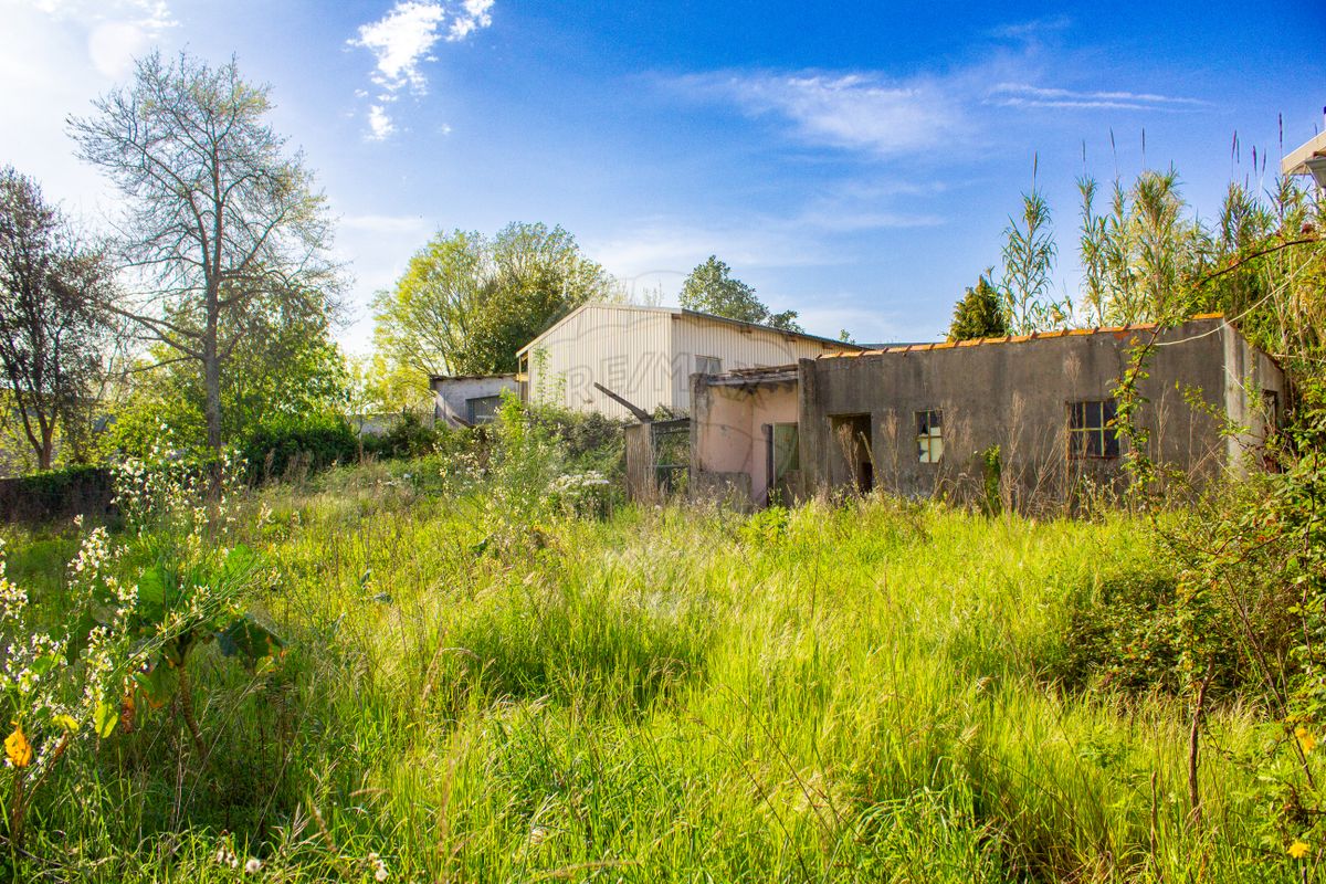 listing-picture-0