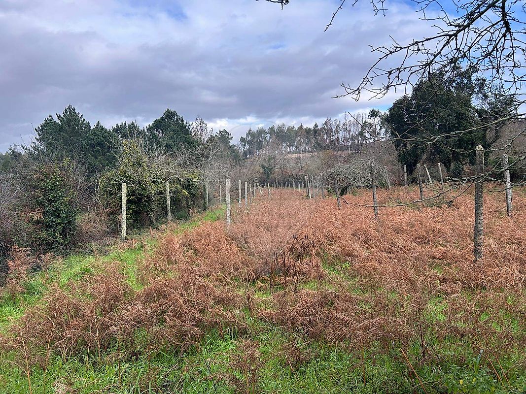 Terreno à venda em Gondomar