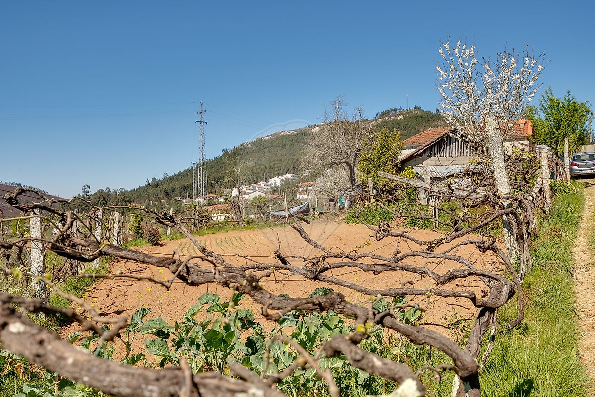 Moradia T2 à venda em Santa Maria de Sardoura, Castelo de Paiva — foto 23