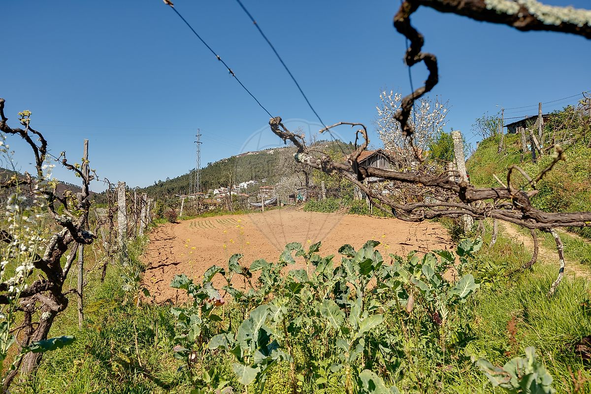 Moradia T2 à venda em Santa Maria de Sardoura, Castelo de Paiva — foto 22