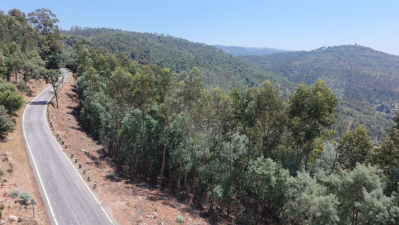 Terreno  à venda em Santo Tirso