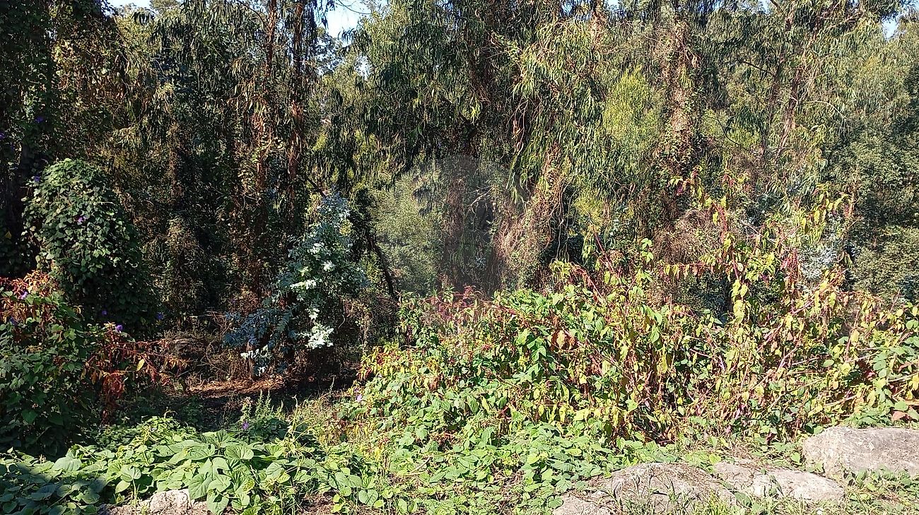 TODO