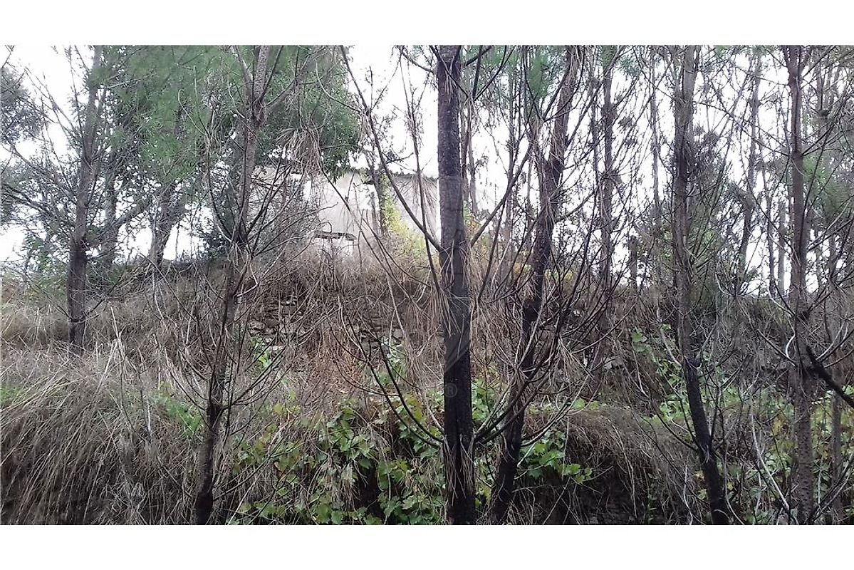 Moradia T3 à venda em Cernache do Bonjardim, Nesperal e Palhais, Sertã — foto 9
