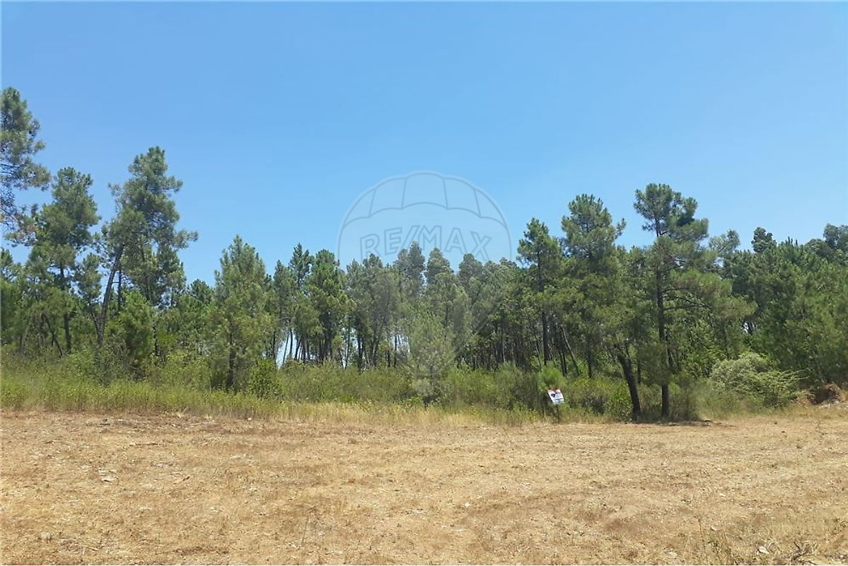 Land for sale in Sertã, Portugal — €70,000