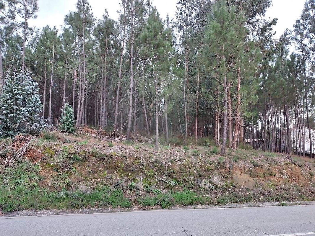 Terreno à venda em Sertã