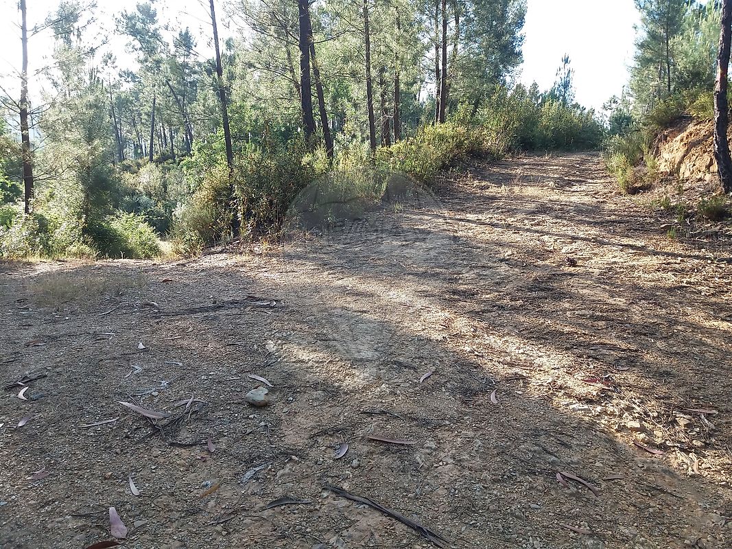 Terreno  à venda em Proença-a-Nova