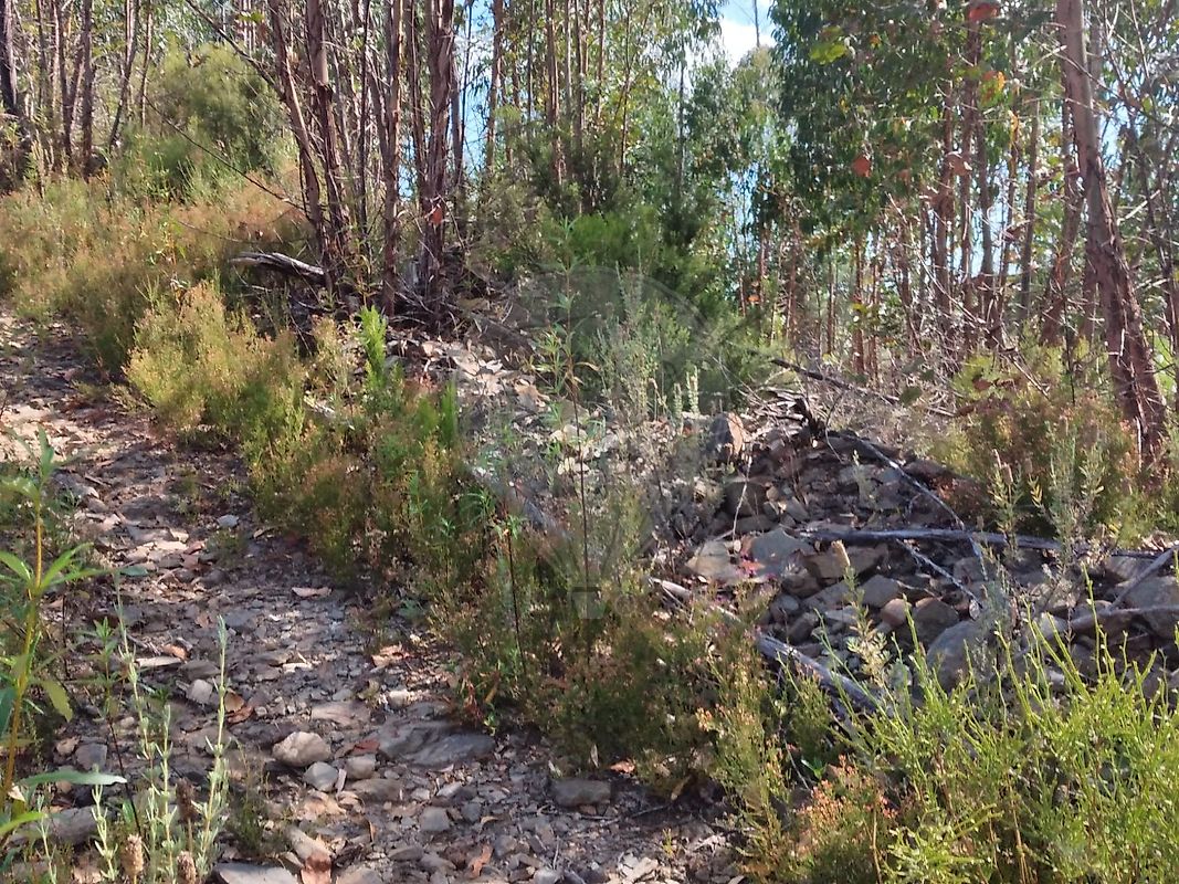 Terreno para venda