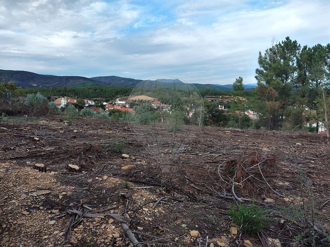 Terreno  à venda em Proença-a-Nova