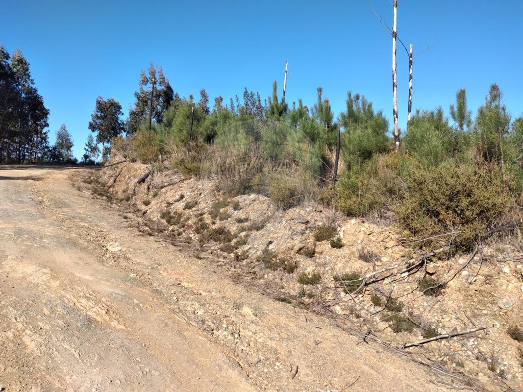 Terreno para venda