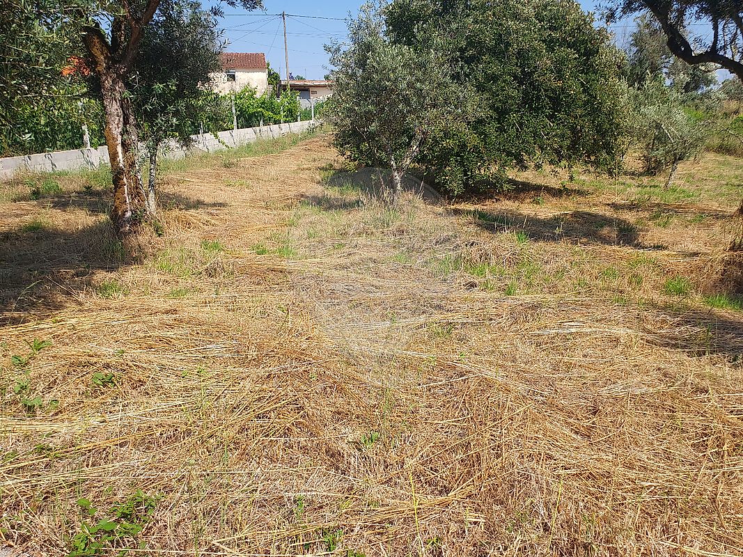 Terreno para venda