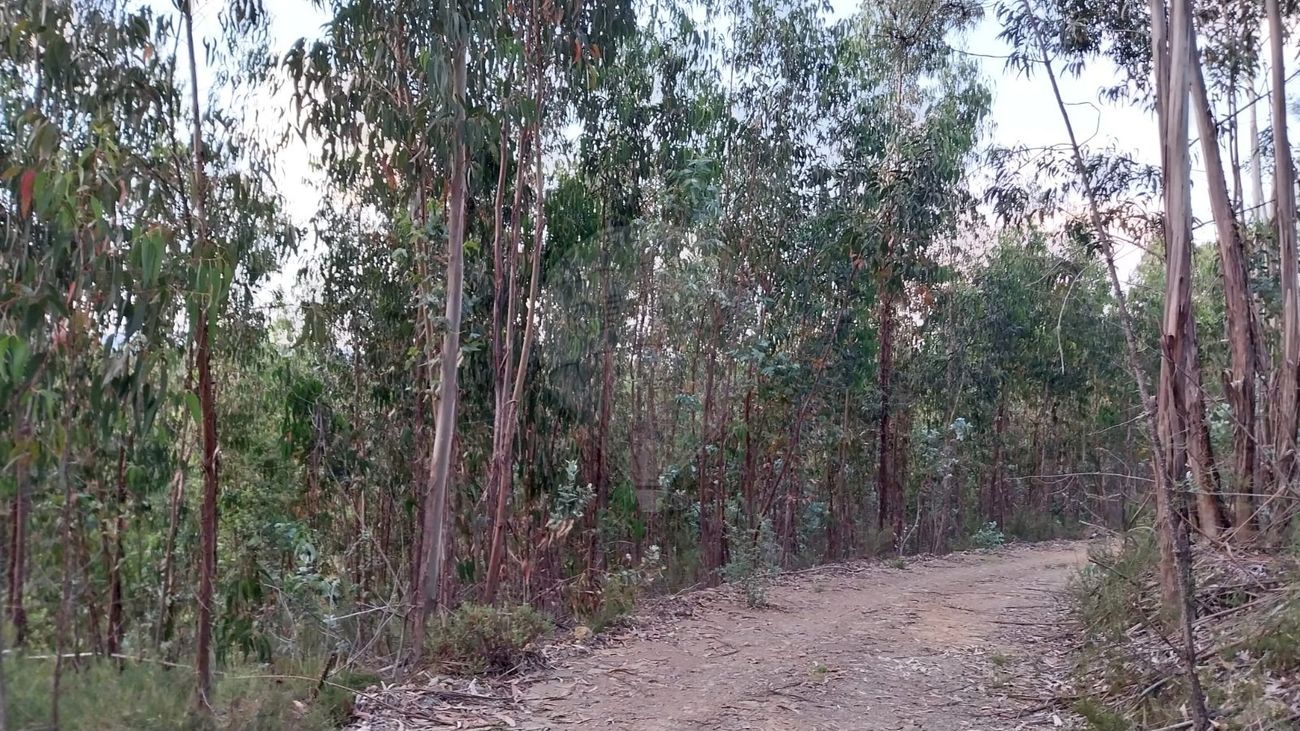 Terreno para venda