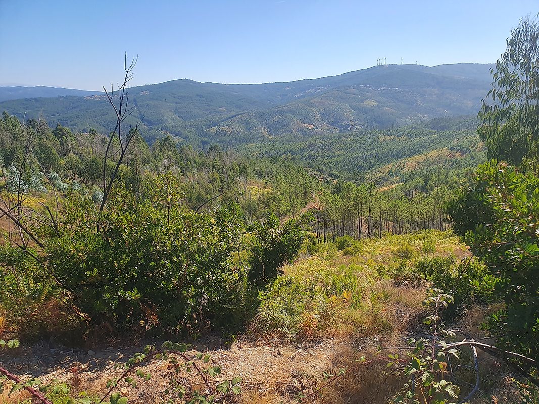 Moradia T3 à venda em Troviscal, Sertã — foto 19