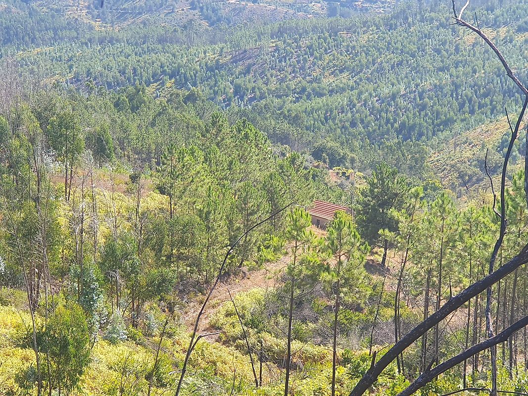 Moradia T3 à venda em Troviscal, Sertã — foto 20