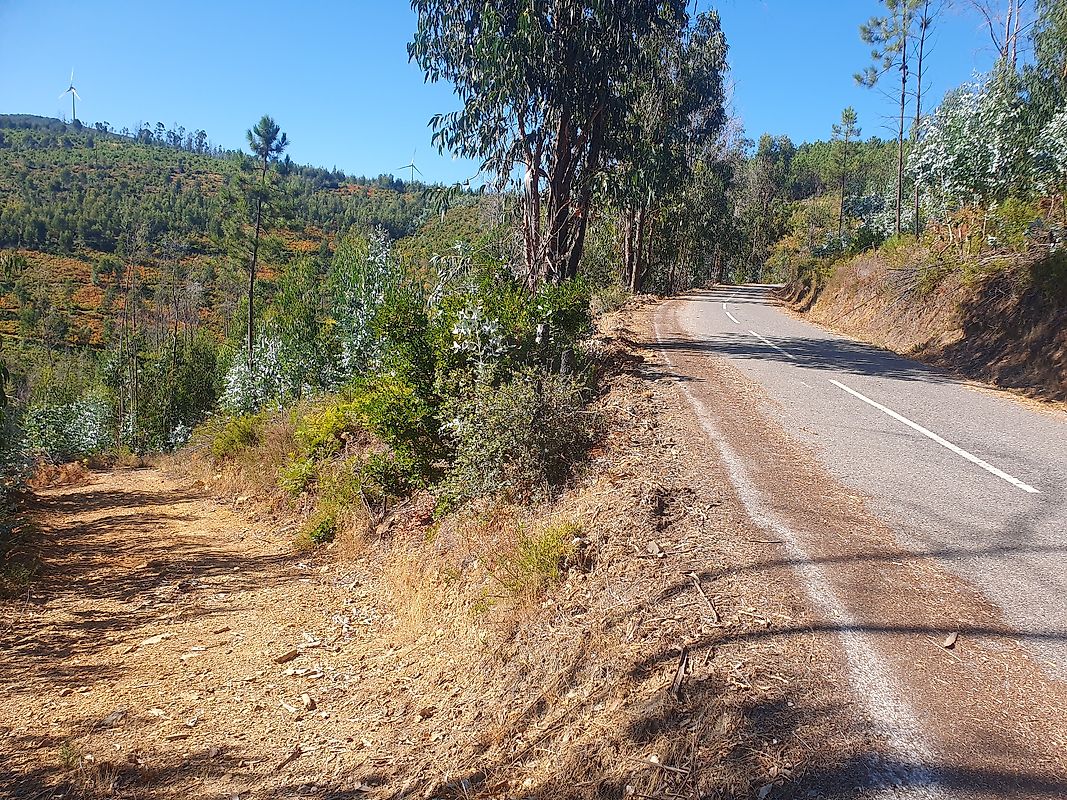 Moradia T3 à venda em Troviscal, Sertã — foto 21