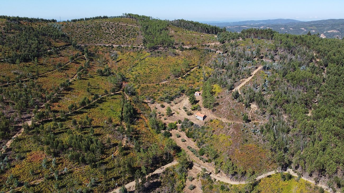 Moradia T3 à venda em Troviscal, Sertã — foto 37