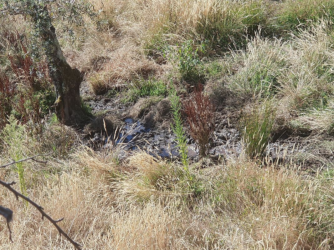 Moradia T3 à venda em Troviscal, Sertã — foto 36