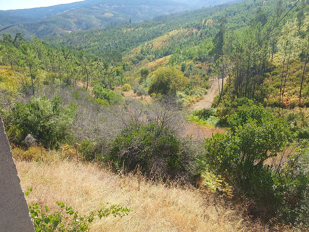 Moradia T3 à venda em Troviscal, Sertã — foto 25
