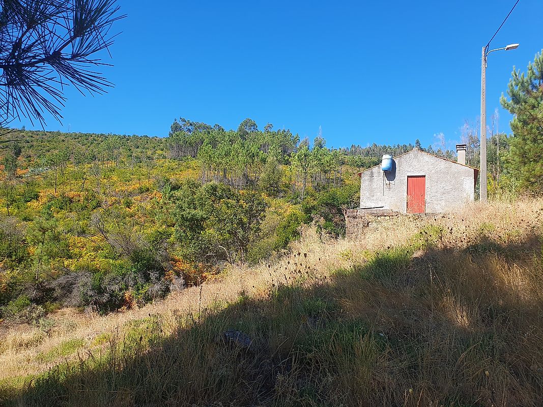 Moradia T3 à venda em Troviscal, Sertã — foto 15