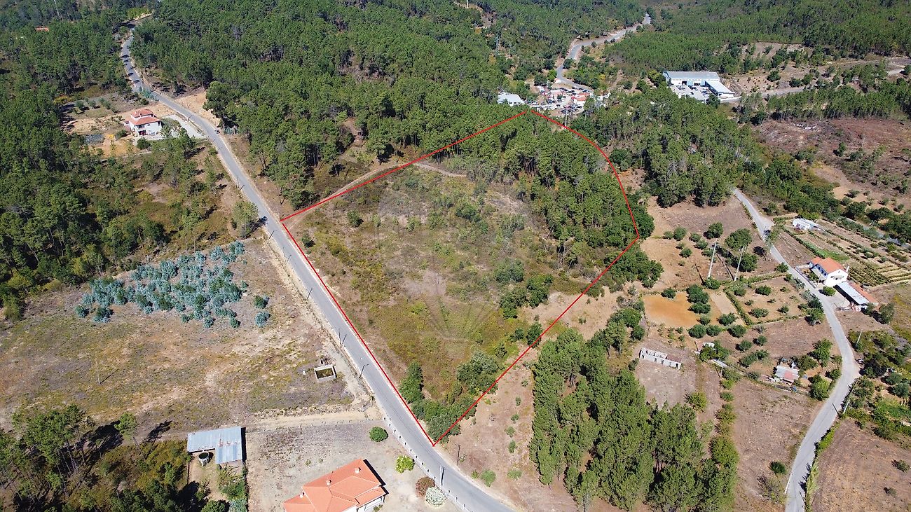 Terreno - Sertã, Sertã, Castelo Branco
