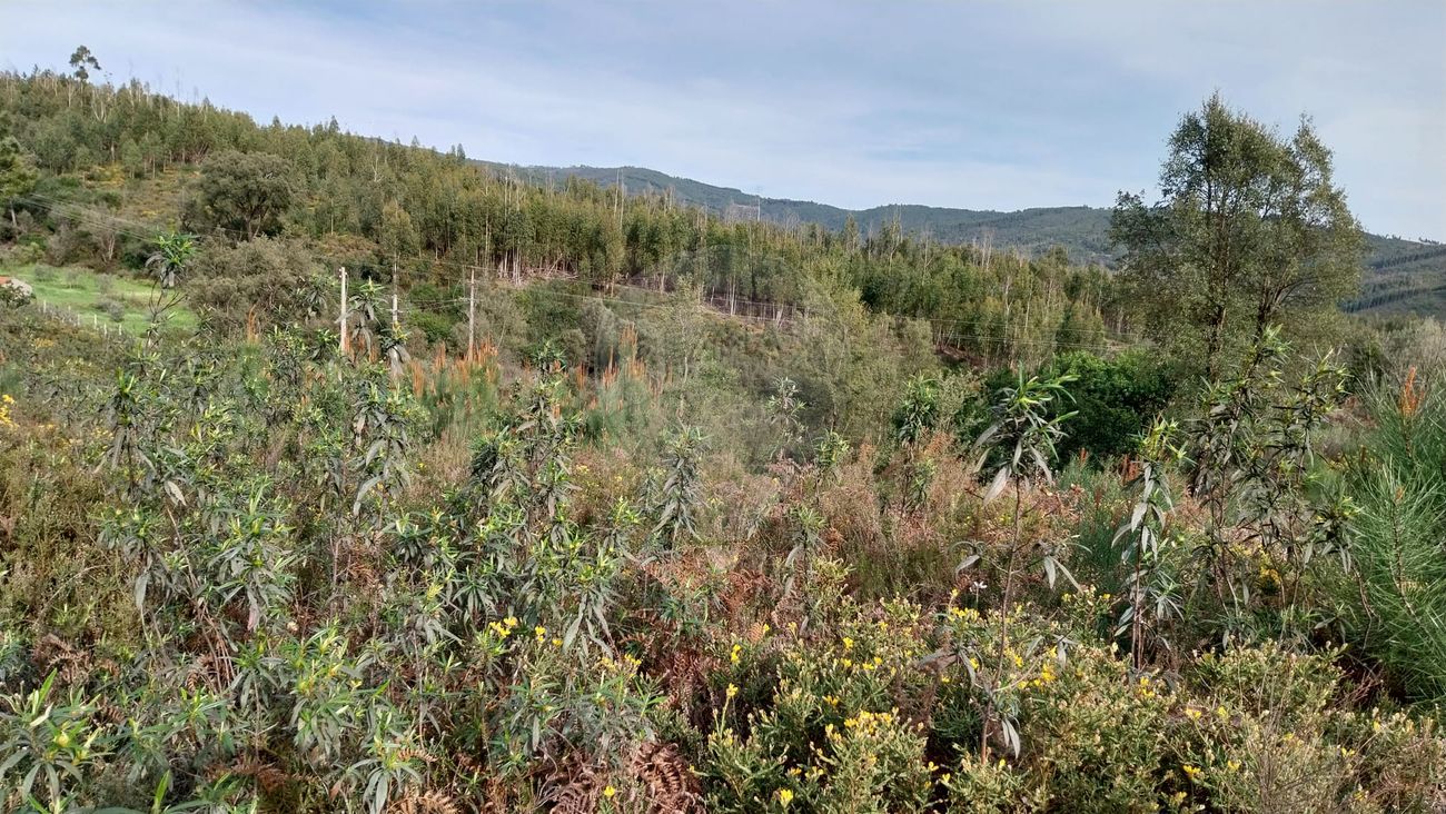 Terreno para venda
